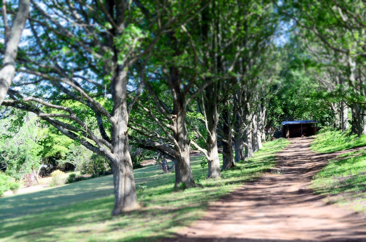 Botha's Hill Phezulu Safari Park 빌라 외부 사진