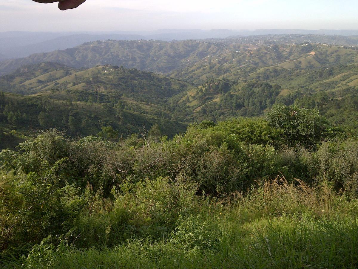 Botha's Hill Phezulu Safari Park 빌라 외부 사진
